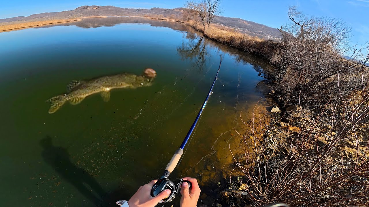 Fishing Untouched Waters for River Beasts!