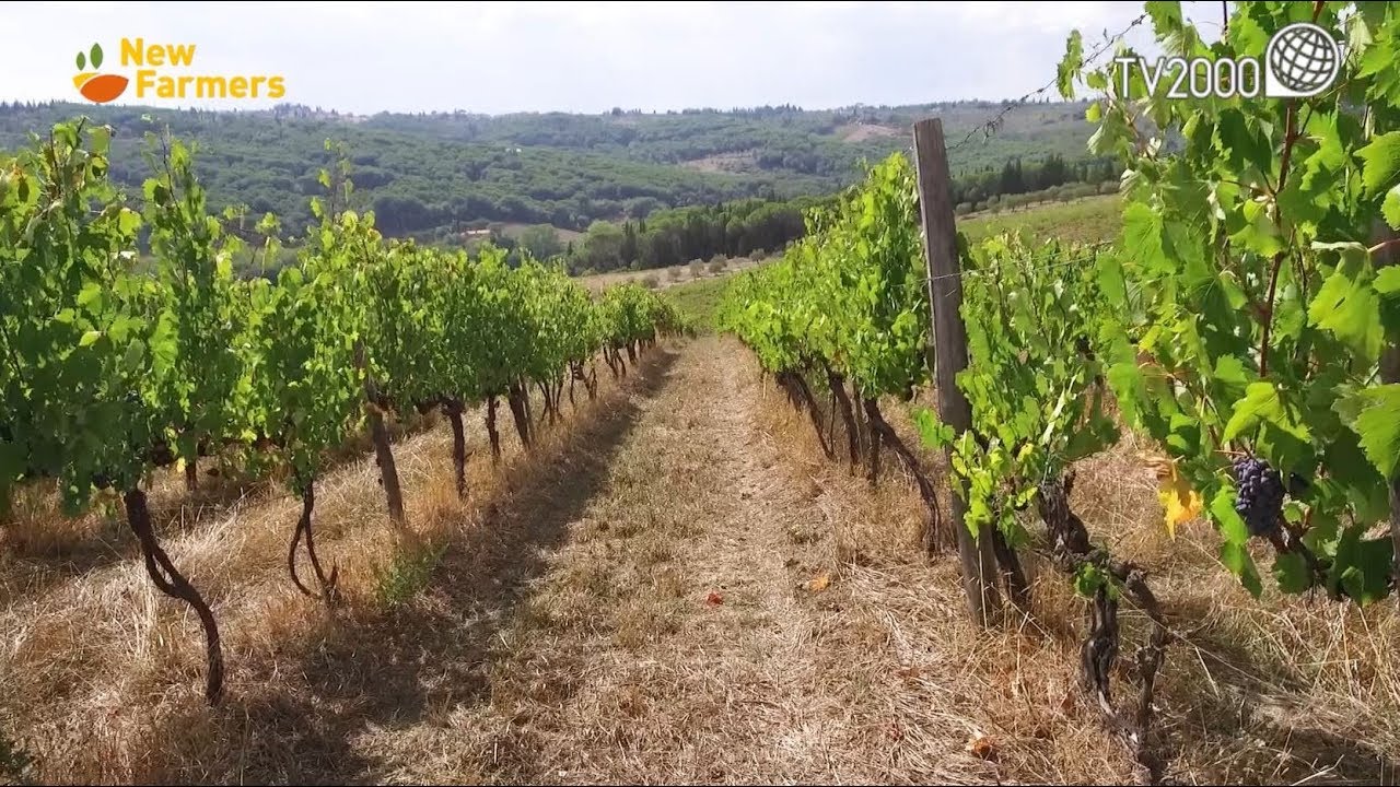 New Farmers - Il Chianti Classico alle porte di Firenze - 21/2/2019