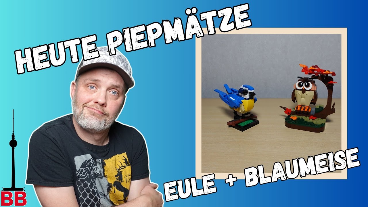 BlueBrixx vs. Wange - Die Blaumeise und die Eule im Vergleich