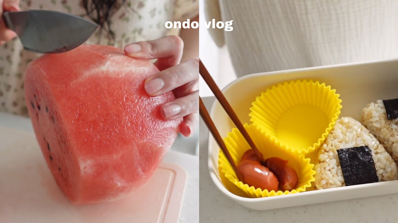 ENG)혼자 카페,혼밥,묵은지 김밥,오랜만에 편의점 음식 털고,초당 옥수수 샐러드 해 먹은 일상🌽