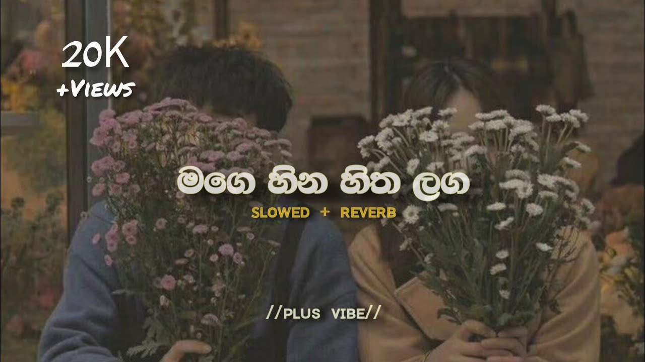 Mage Hina Hitha Laga Dagakari || Milinda Saderuwan || Sinhala slowed and reverb