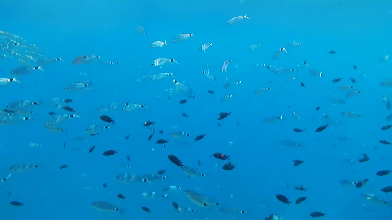 Marina del Este, Granada. 🙂