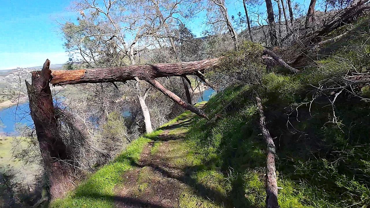 Riding Down San Joaquin River Trail - Pincushion Peak Down To The River - no wild flowers Feb21 2026