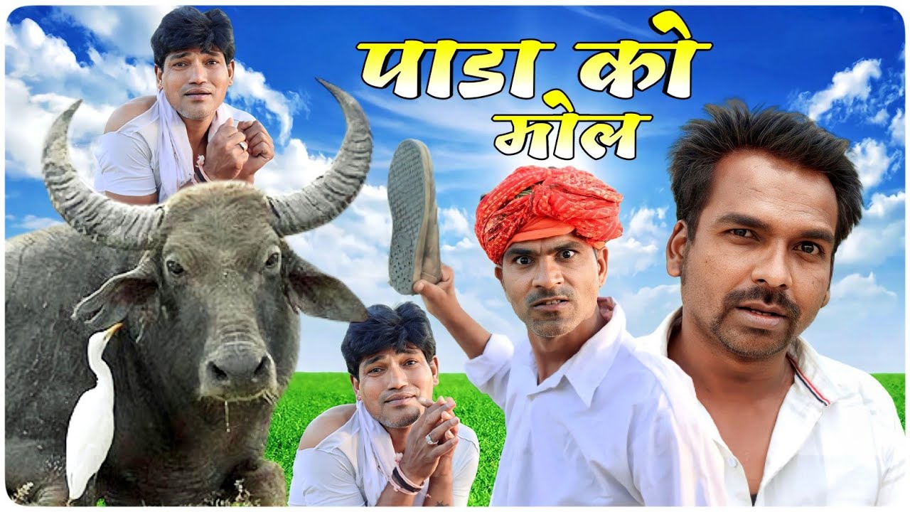 पांडा को मोल || Fun Series || Fun Series Comedy