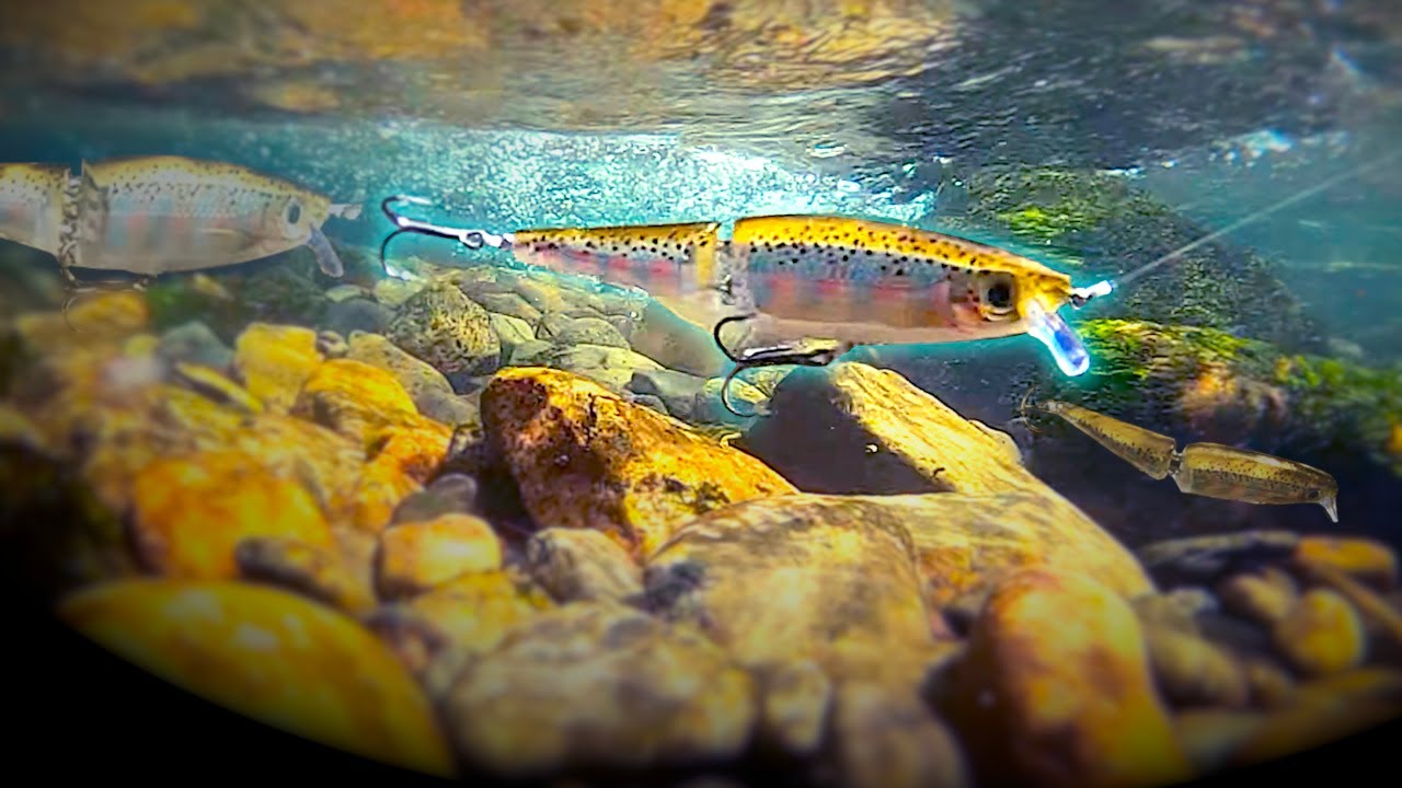 Underwater Lure Action - Watch This Before You Buy Your Next Lure!
