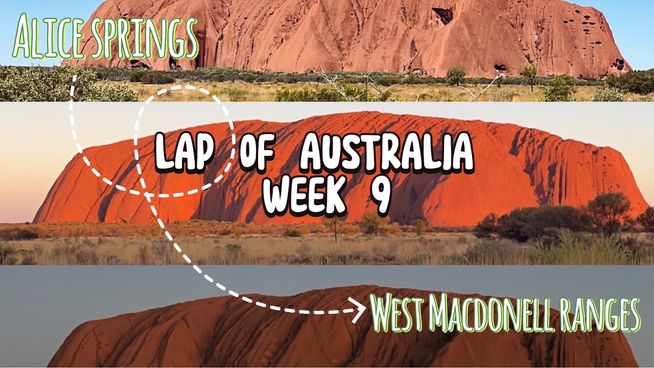 Lap of Australia: our first WILD CAMEL encounter 