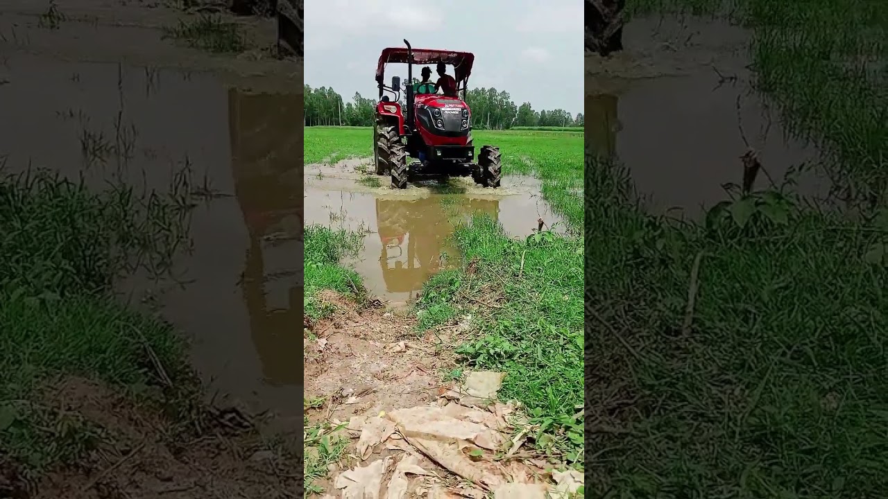 SOLIS 4515 4WD Tractor In Mud Field🚜🚜||#youtubeshorts #viral #tractor #farming #agriculture #solis