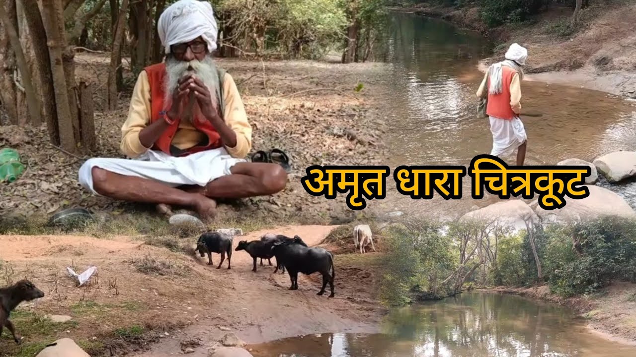 Chitrkoot k jangle अमृतधारा मंदाकिनी तट चित्रकूट मध्य प्रदेश 375