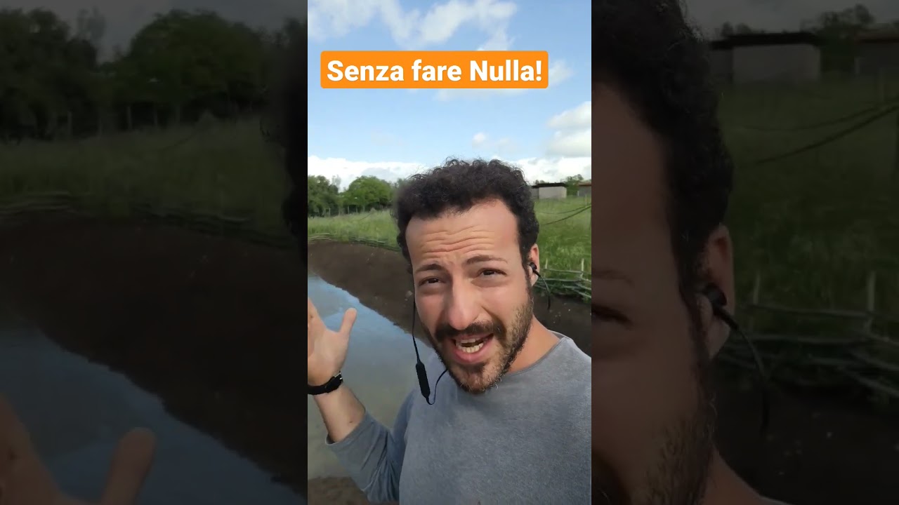 Come Fare un Bio Laghetto