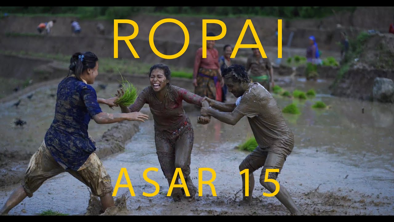 | Ropai in Nepal - Rice Planting festival of Nepal -paddy plantation day - Dahi Chuira |