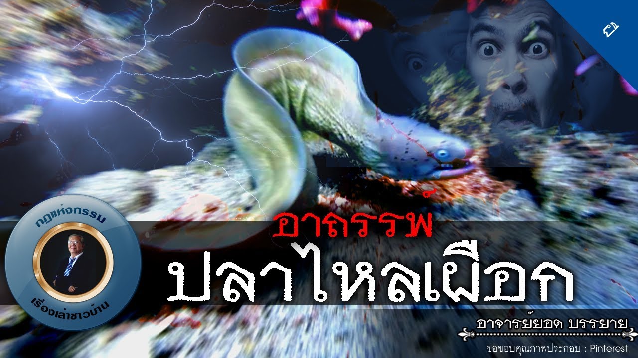 อาจารย์ยอด : อาถรรพ์ปลาไหลเผือก [ผี] new