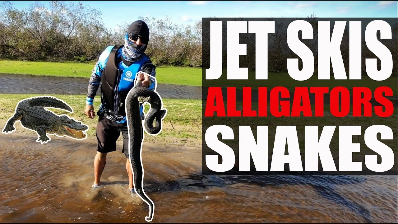 Jet Ski Alligator adventure on the Kissimmee River