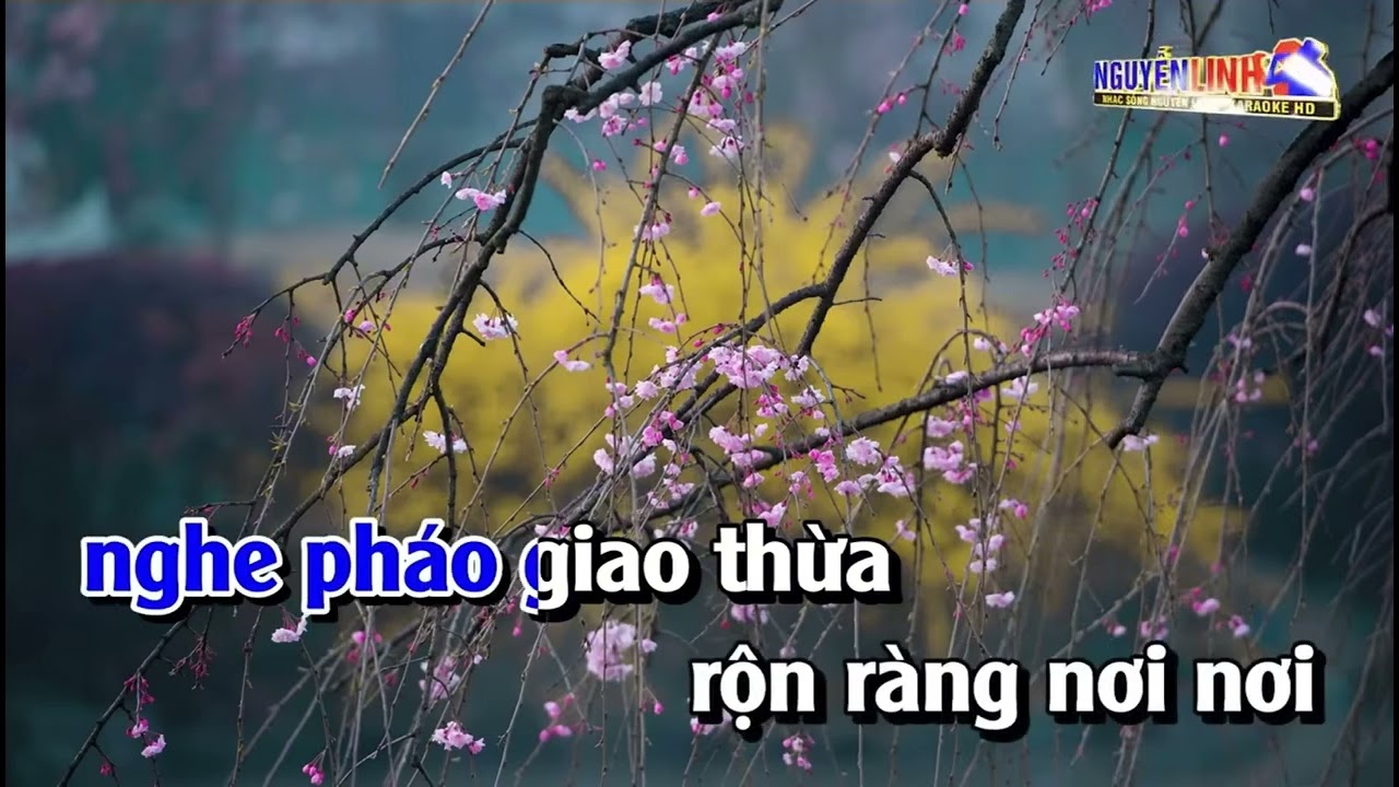Xuân Này Con Không Về- Cover Thành Kafei