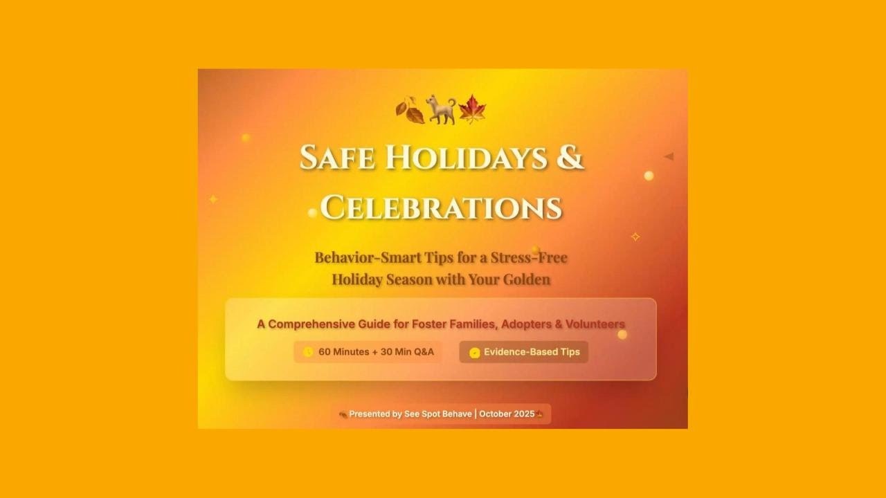 GRR #07 Safe Holidays