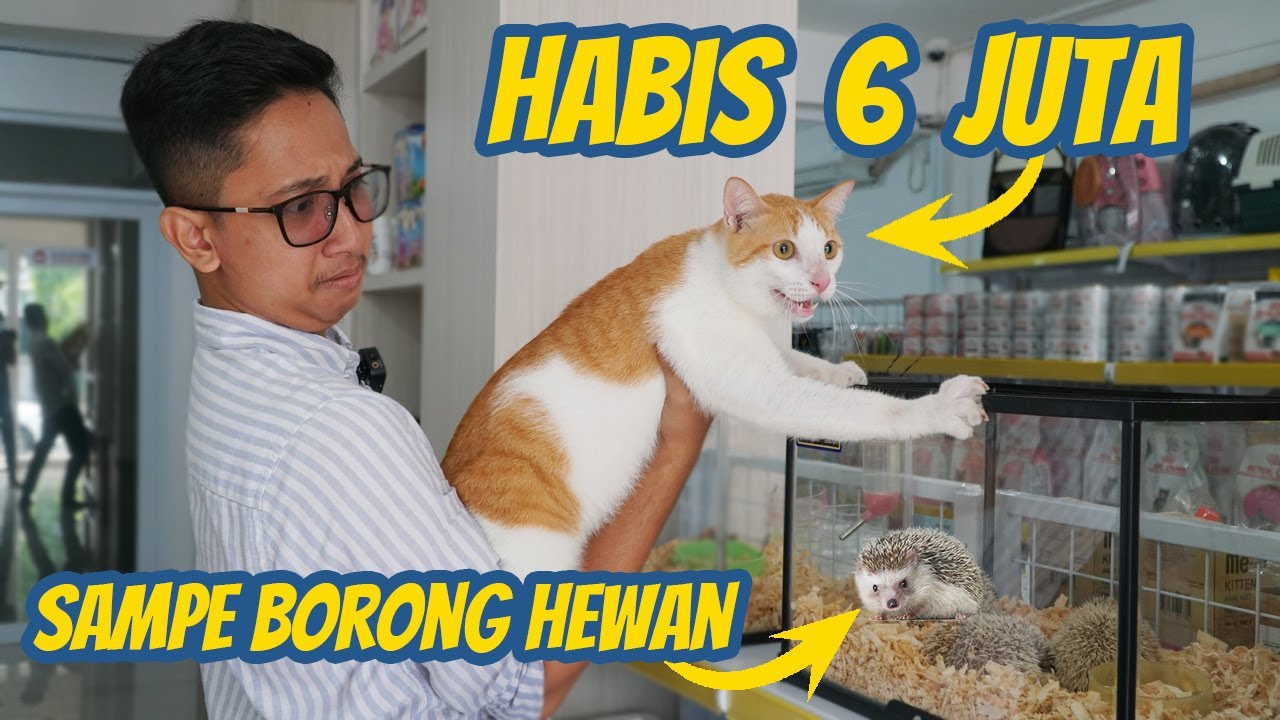 BELI SEMUA BARANG & HEWAN YANG DI SENTUH TOMANG