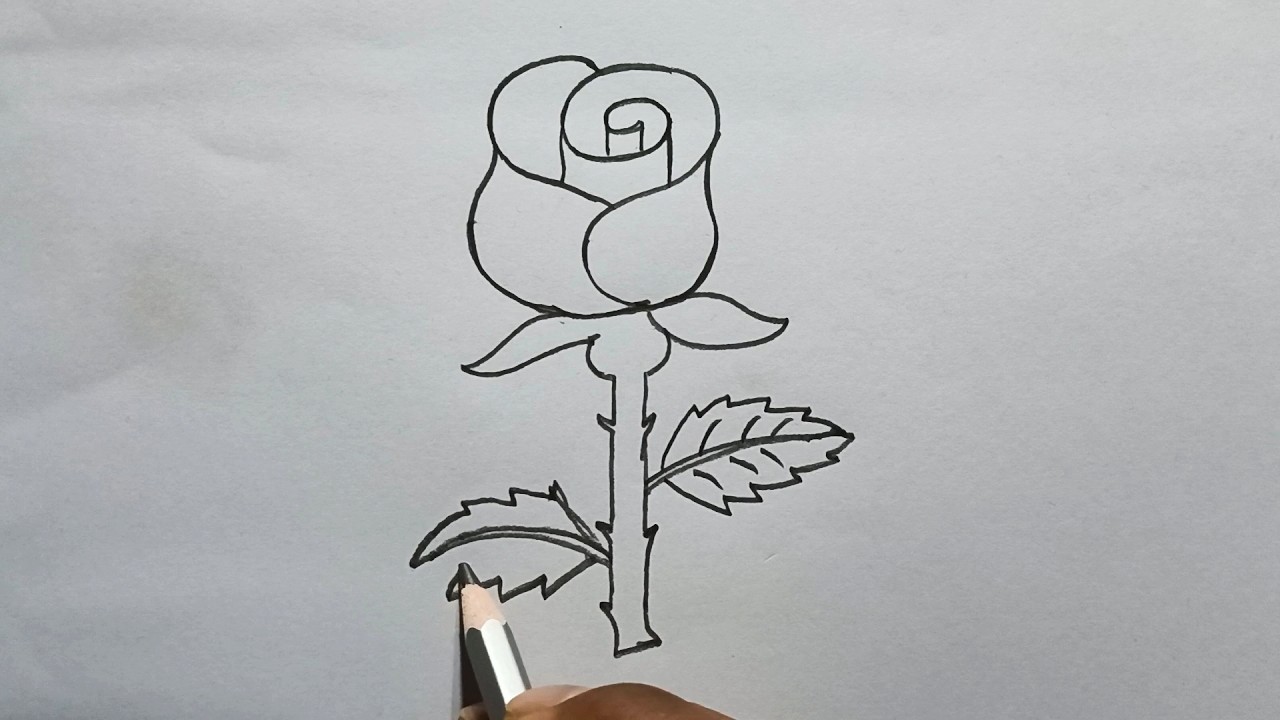 🌹 Beautiful Rose Drawing | Easy Step by Step Rose Sketch Tutorial 🌹