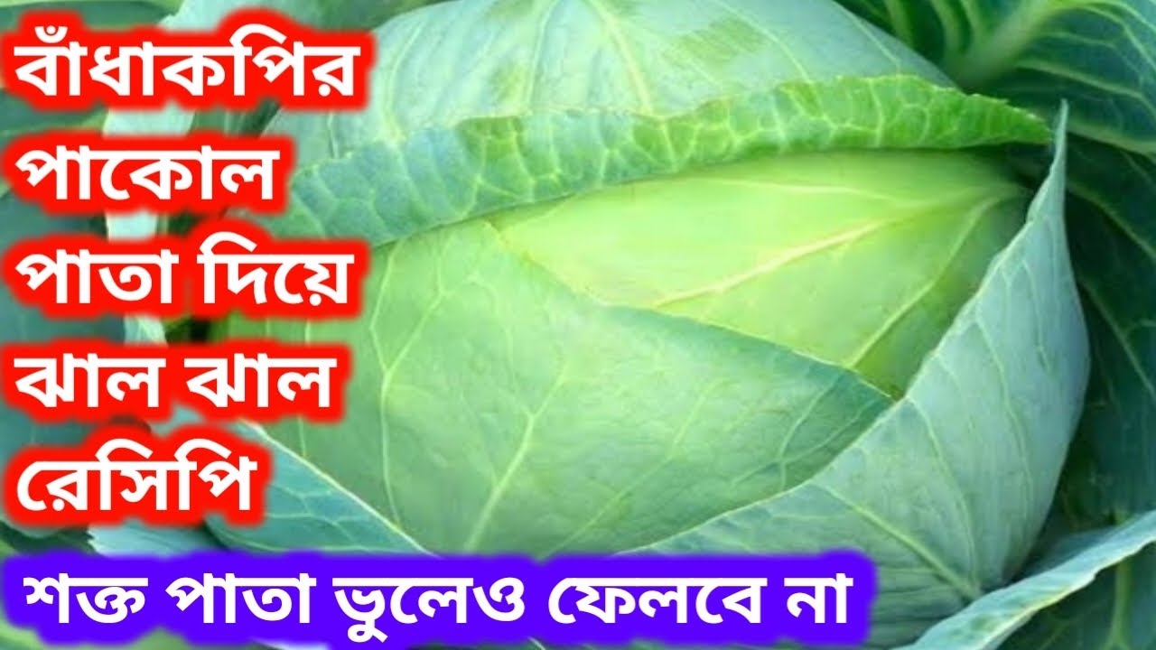 বাঁধাকপির শক্ত পাতা দিয়ে ঝাল ঝাল রেসিপি//বাঁধাকপির পাকোল পাতার দুর্দান্ত রেসিপিটা দারুন লাগে খেতে।
