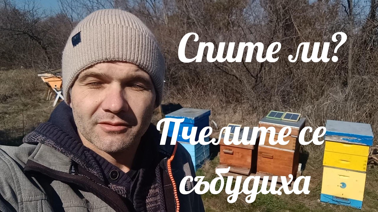 Първи частичен зимен преглед на Дадан Блат и топ бар кошери