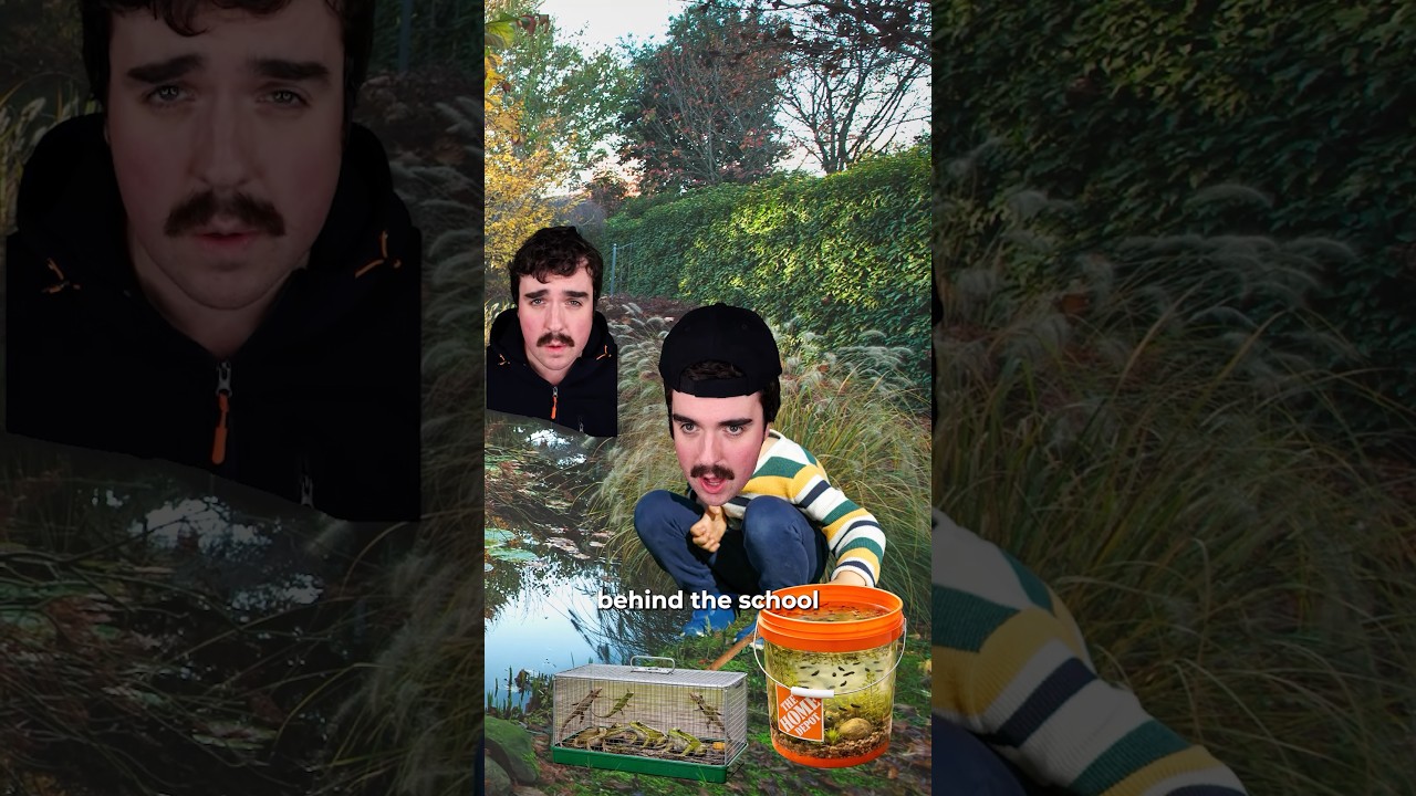 Frog Boy Is CRAZY 🐸