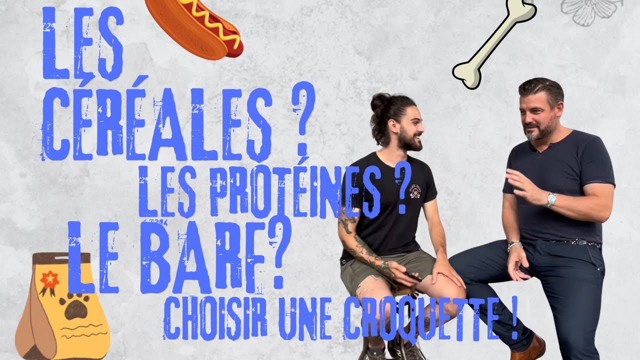 Les céréales dans les croquettes ? Bon ou mauvais ?
