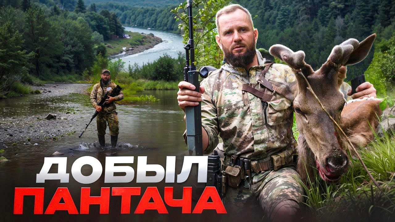 ОХОТА на ИЗЮБРА в СИБИРИ  Изготовление ЭКСТРАКТ ПАНТОКРИНА