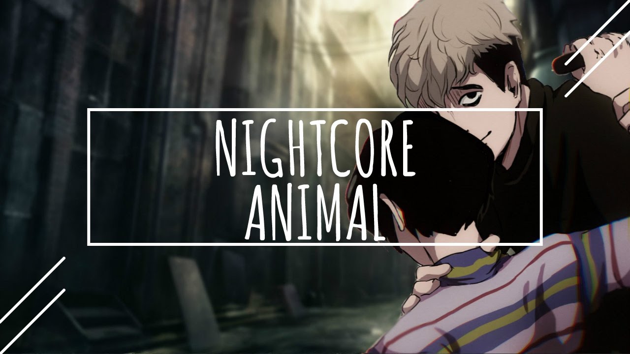 ✪ Nightcore - Animal - Neon Trees || Lyrics