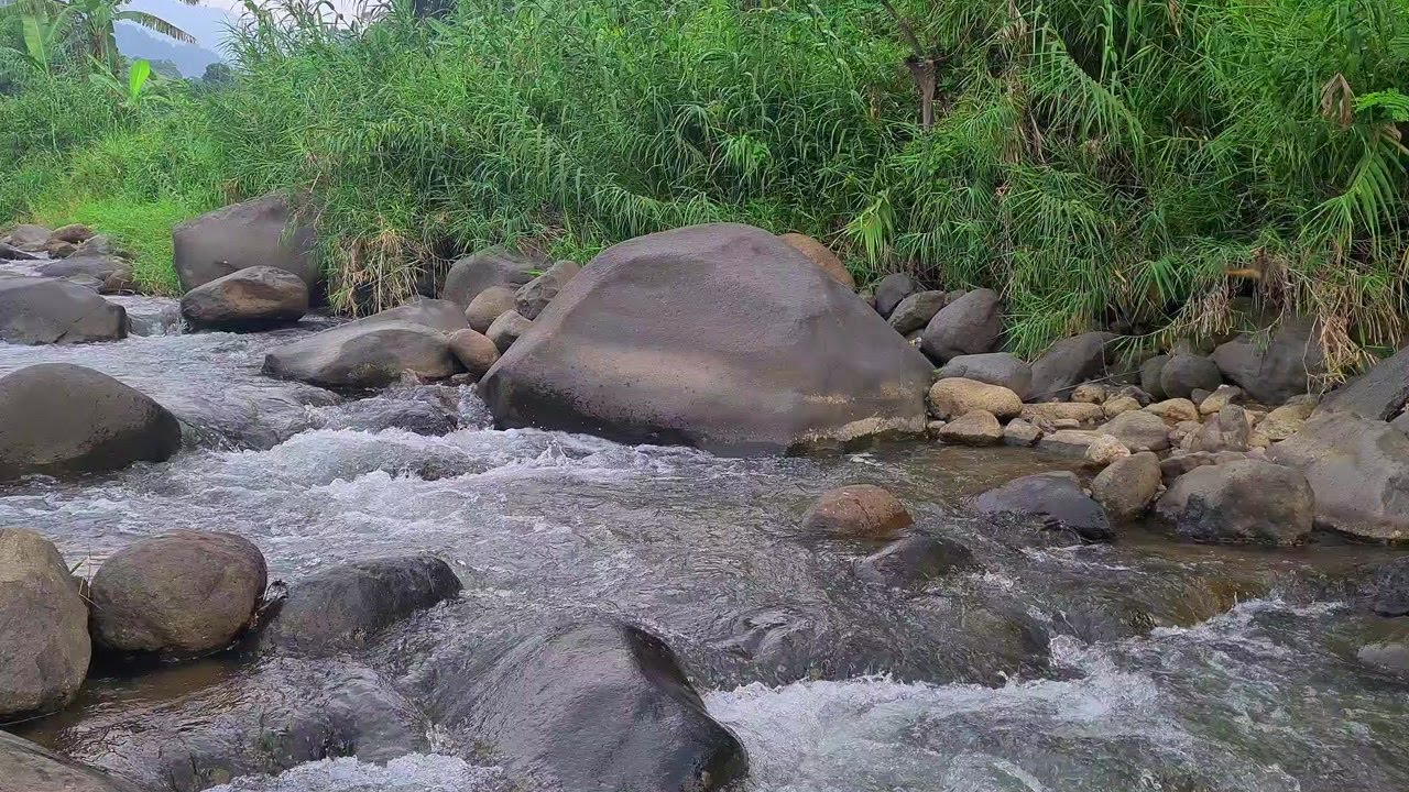Moonlit River Serenity – Gentle Water Sounds to Help You Relax and Sleep Deeply