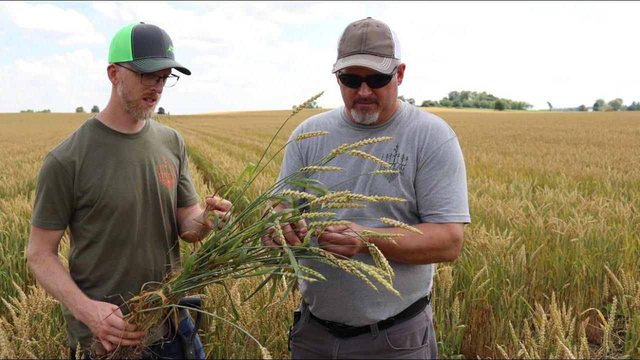 Overcoming Challenging Soil - Huff Farms
