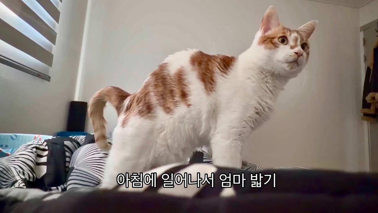 아빠없이 엄마랑 일주일 vlog 