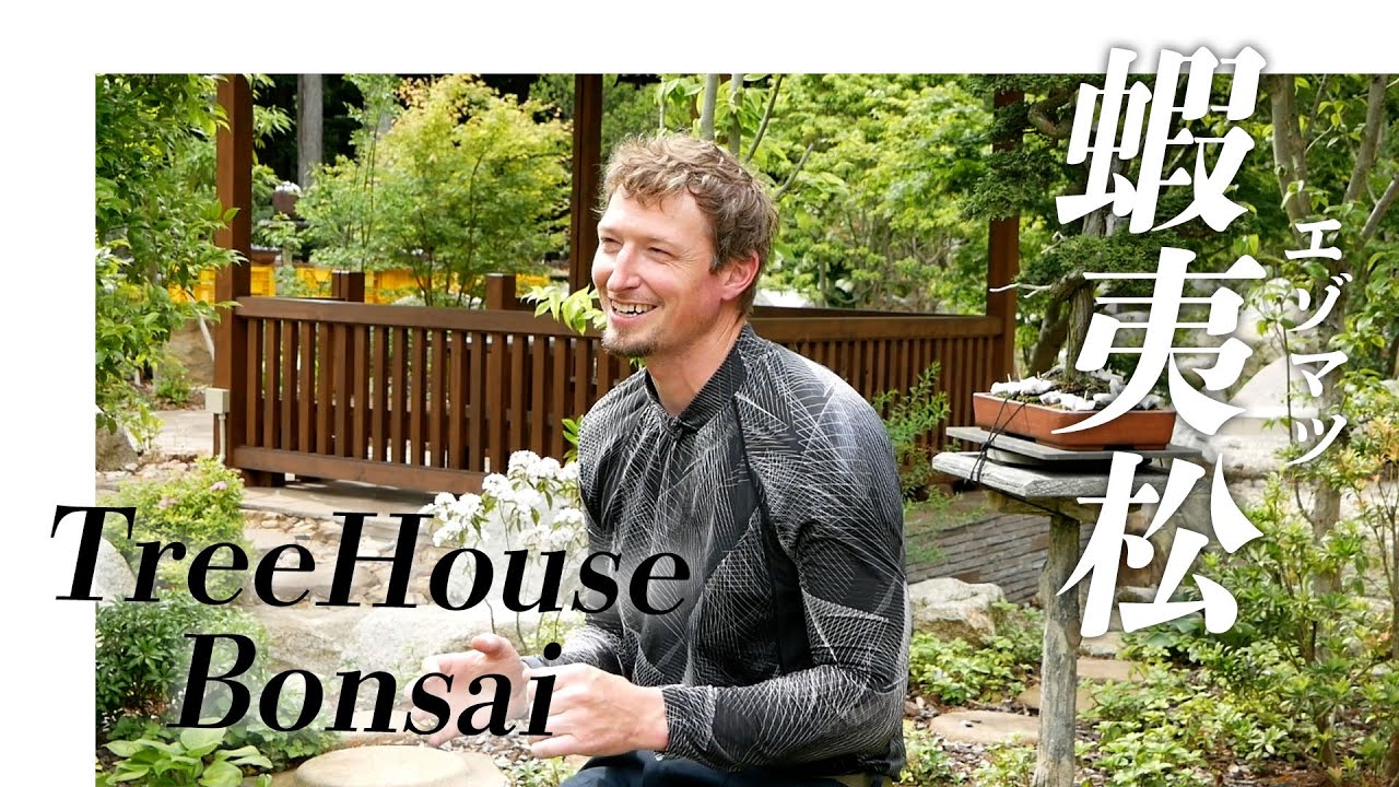 【組合員紹介 vol.06】Tree House Bonsai