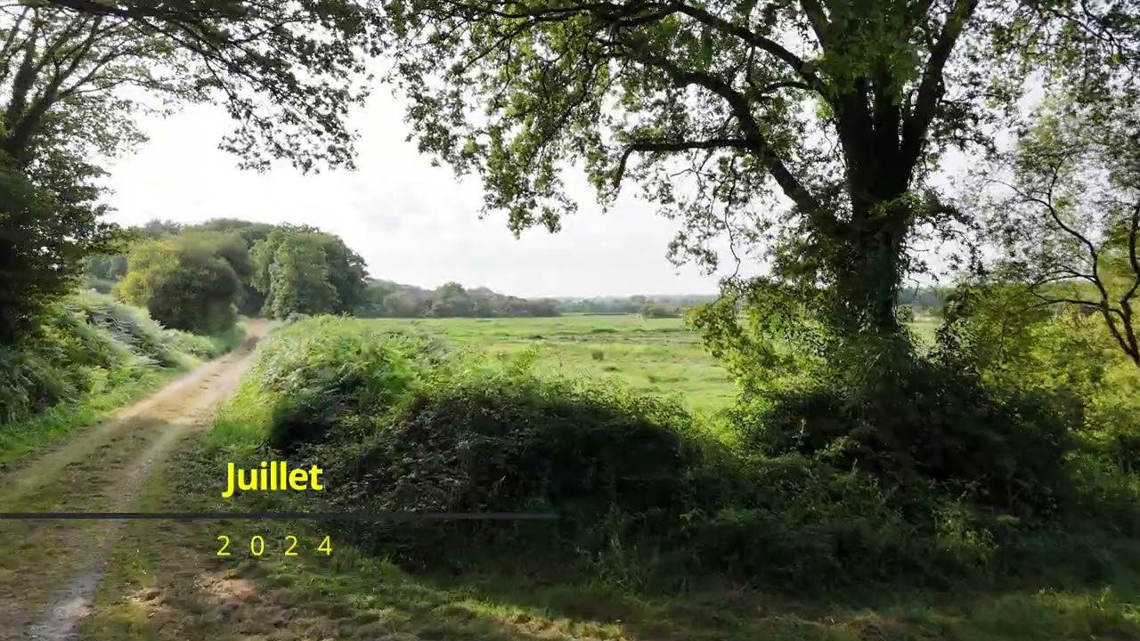 Les marais de l'Arz 30 01 2025