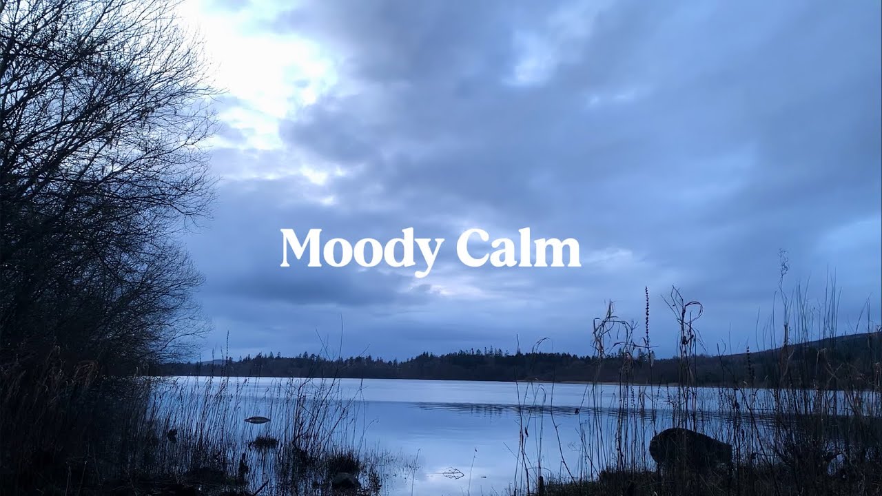 Relaxing Nature Sounds | Peaceful Lake & Gentle Bird Ambience