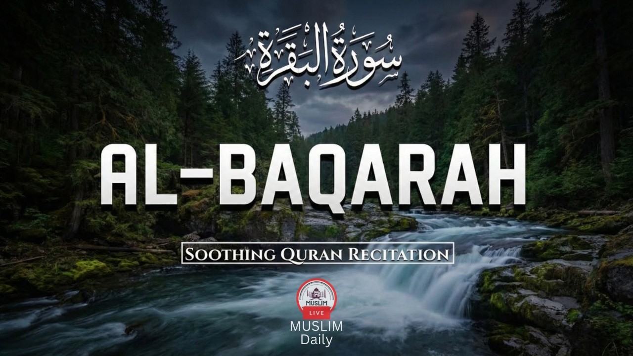 Surah Al-Baqarah (سورة البقرة) | Soothing Quran Tilawat for Healing, Barakah & Peace | Muslim Daily