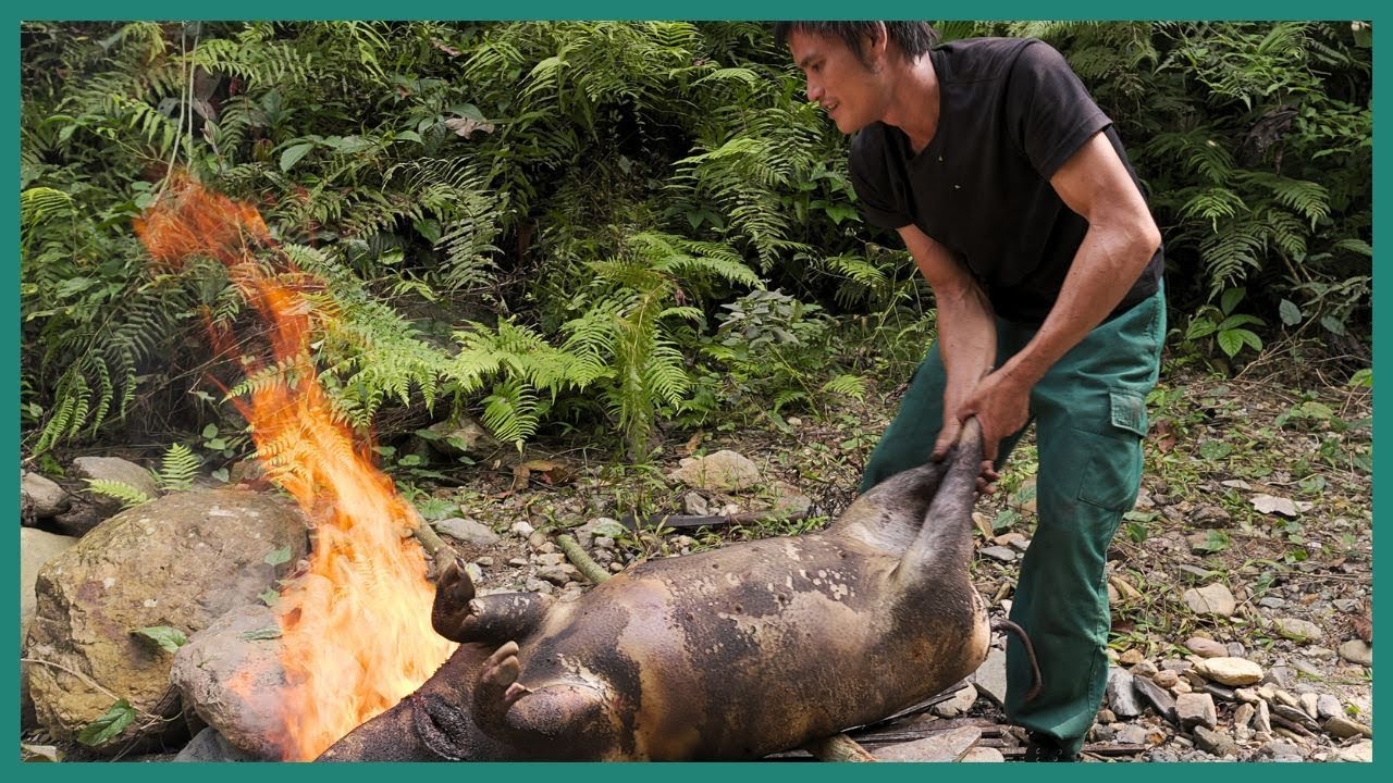 Primitive Bow Hunting with Poison Arrows – Wild Boar Survival Hunt