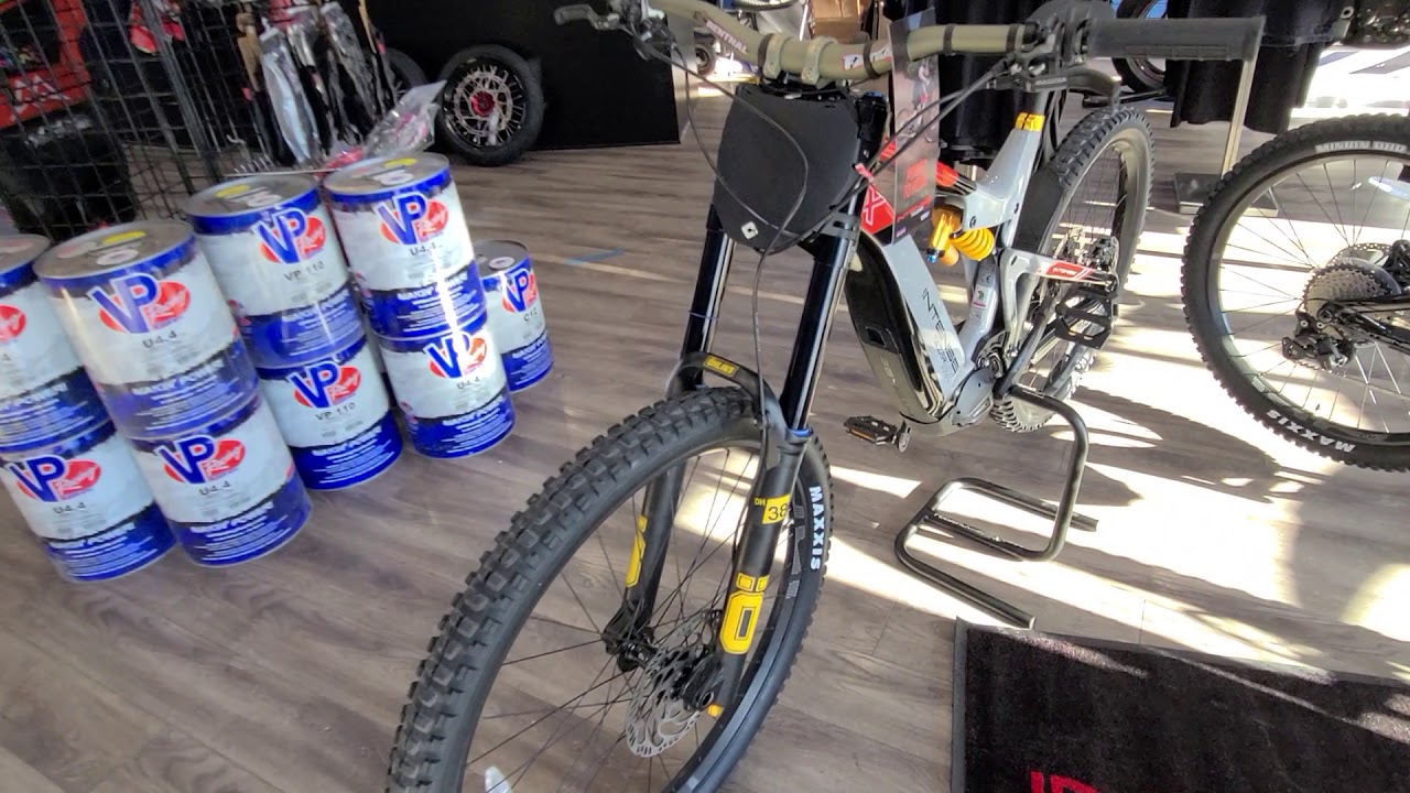 Intense Tazer MX Pro vs Expert Model Comparison