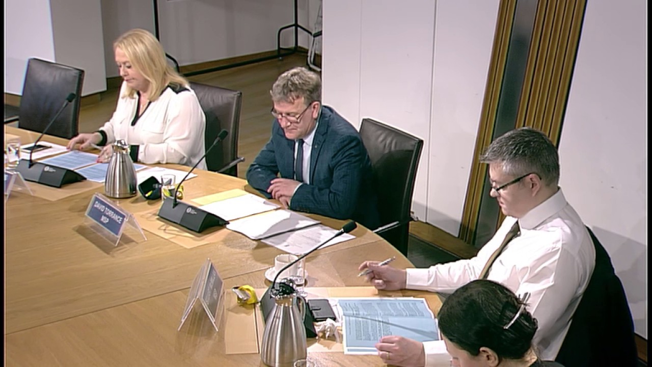 Delegated Powers and Law Reform Committee - 31 January 2017