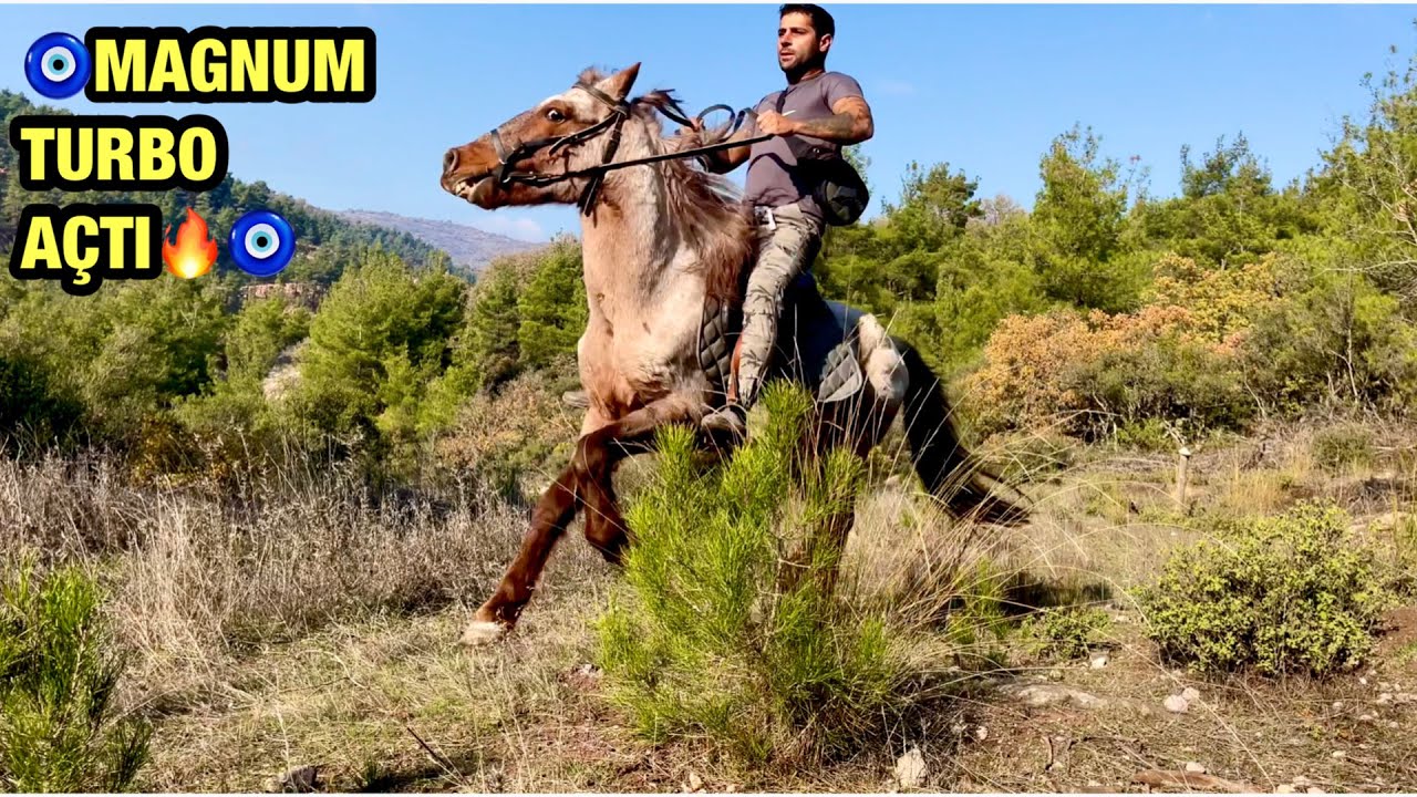 HAVA ÇOK GÜZEL ATIM MAGNUMLA DOĞA GEZİSİ