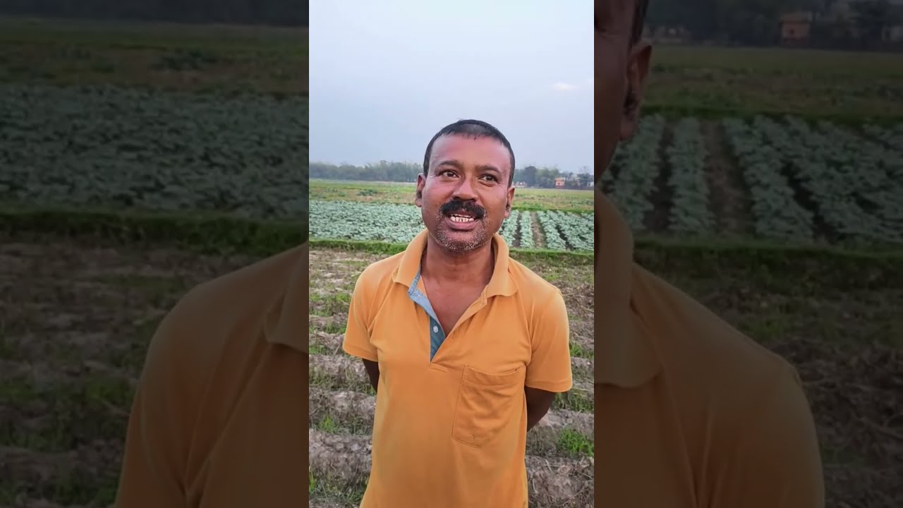 আজকের দিনের আলুর বাজারের রেট জানুন, ভিন্ন রাজ্যের আলুর বাজারে রেটটাও জেনে নুন এই লাইফের মাধ্যমে।