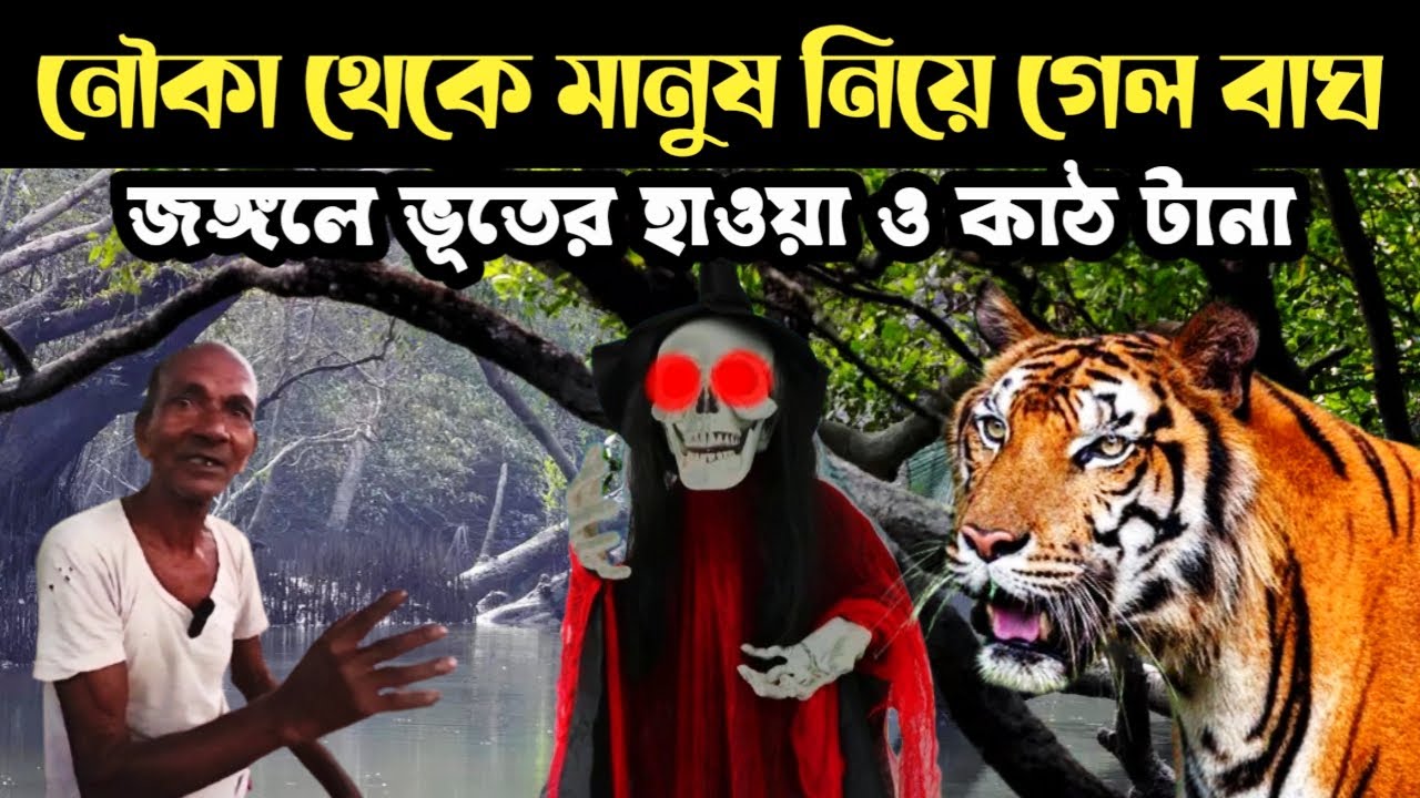 বাঘ নৌকায় উঠে ছইয়ের ভিতর থেকে মানুষ ধরলো || Royal Bengal Tiger Of Sundarban