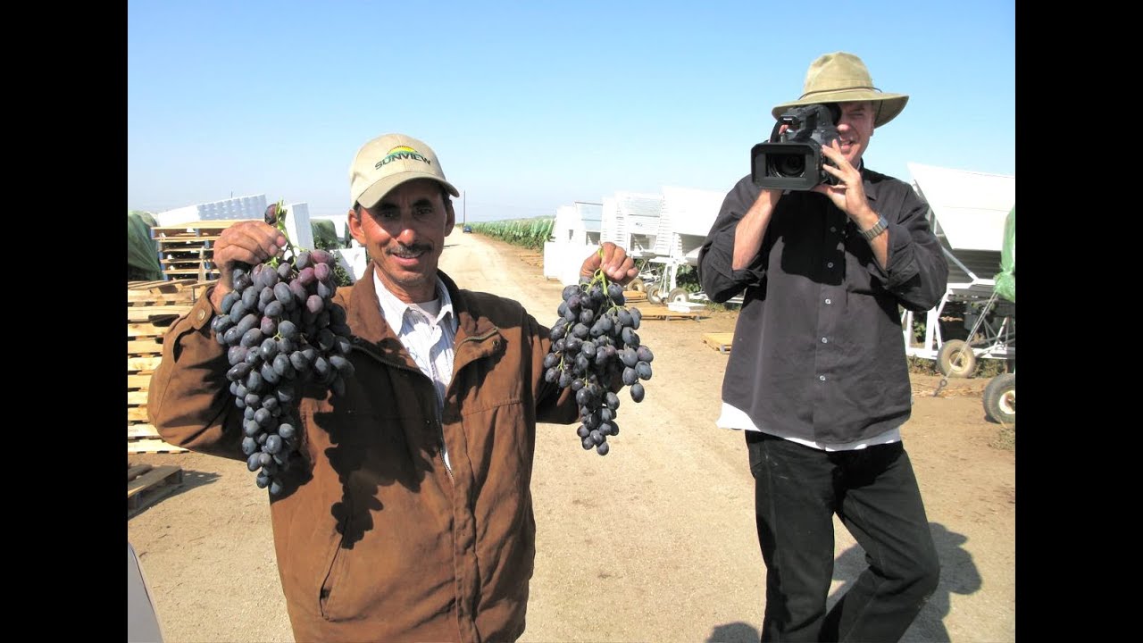 The Last Harvest: The Yemenis of the San Joaquin