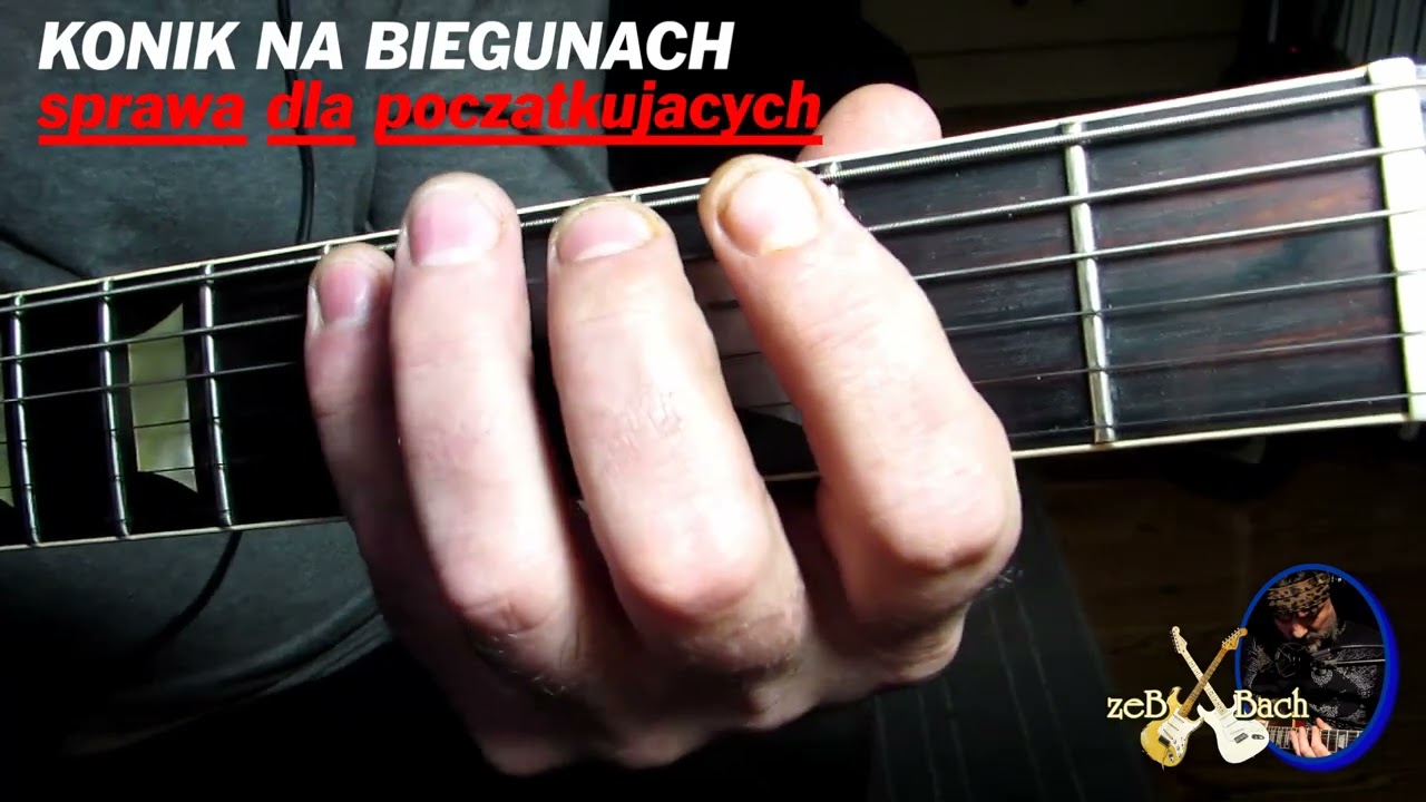 Gitara z @zebbach KONIK NA BIEGUNACH -URSZULA (DLA POCZATKUJACYCH )