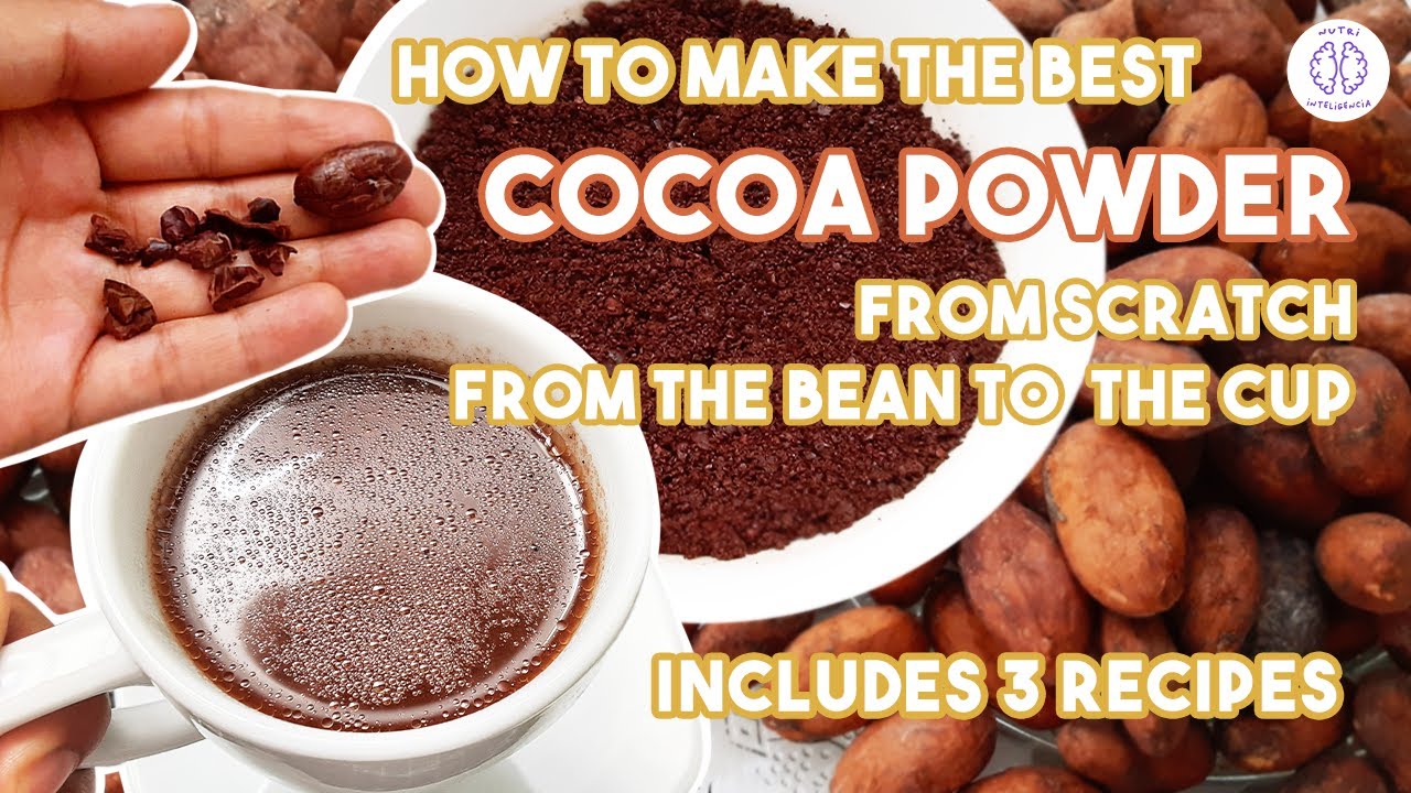 HOW TO MAKE THE BEST COCOA POWDER 😮🤯 100% FROM BEAN TO CUP! INCLUDES - RECIPE NUTRI INTELLIGENCE 💚
