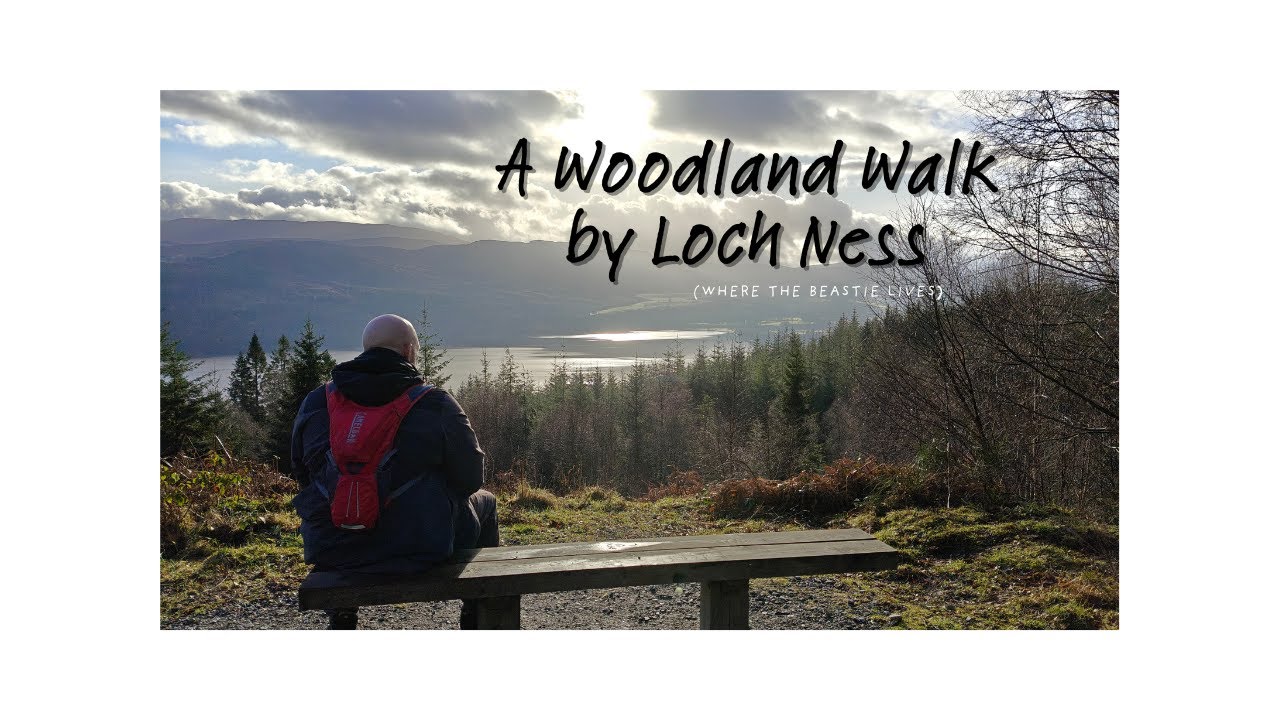 A Woodland Walk by Loch Ness