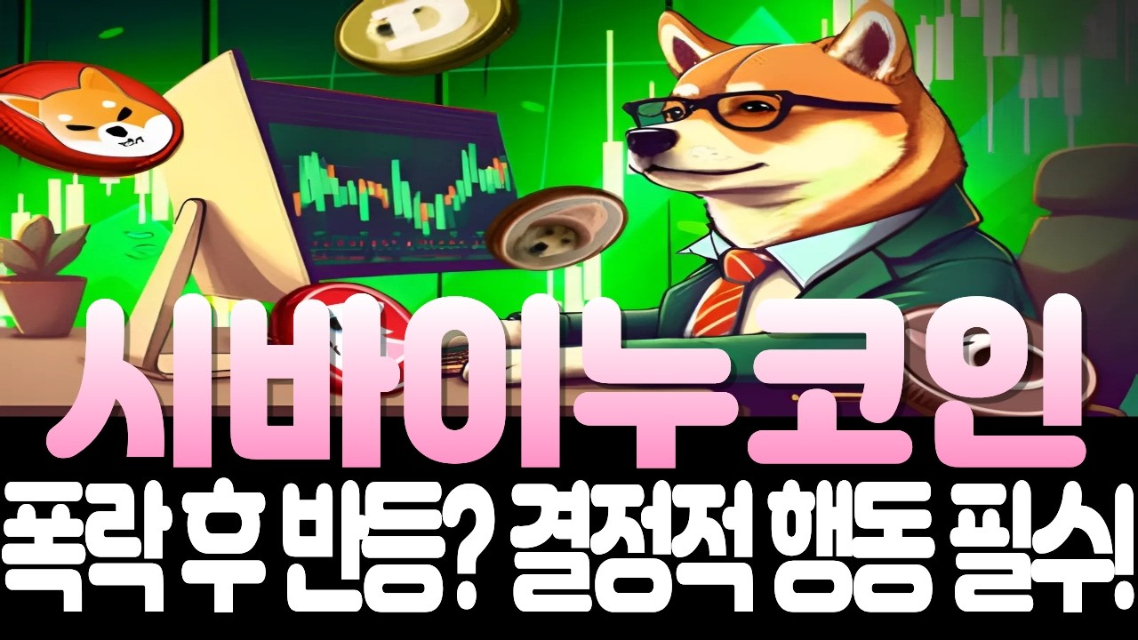 [시바이누 코인] 폭락! 반등 기회인가, 끝의 시작인가?