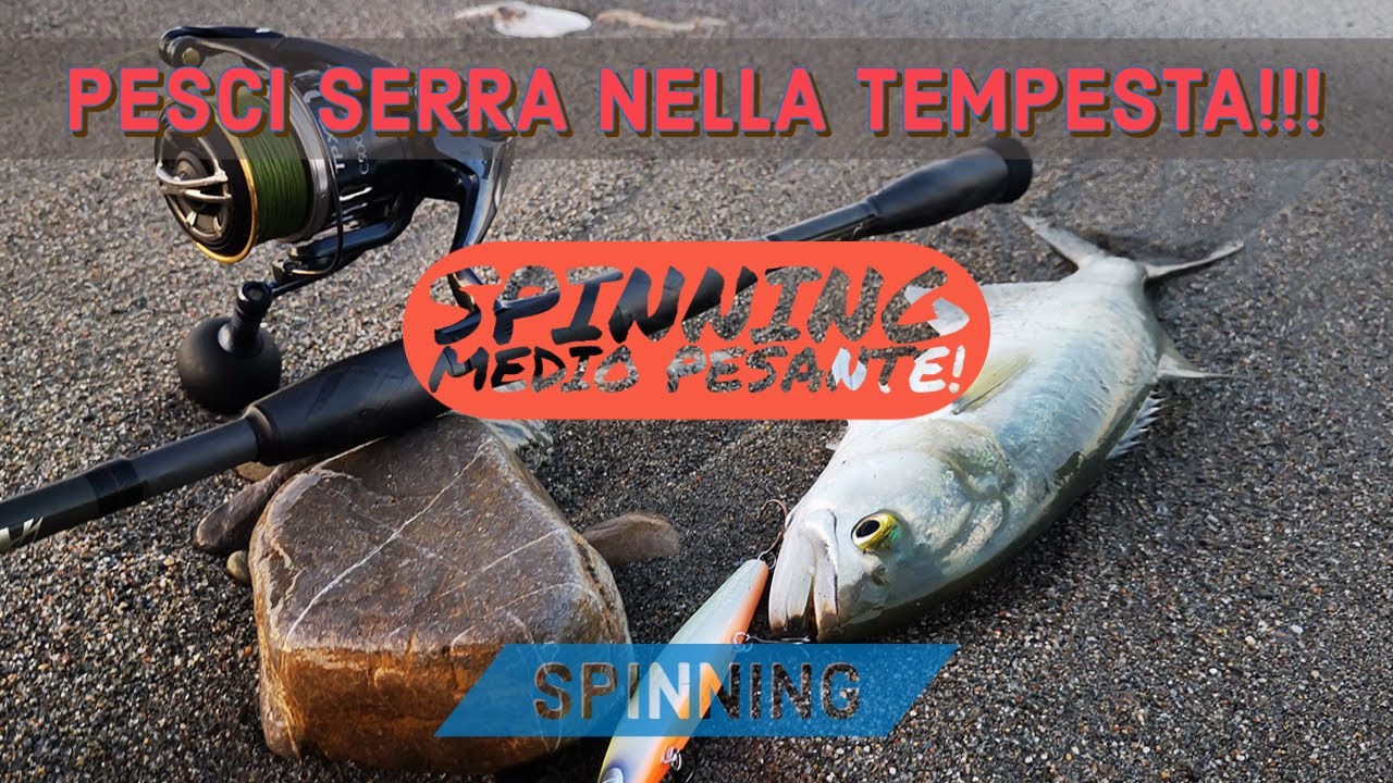 PESCI SERRA NELLA TEMPESTA! SPINNING INSHORE - con esche artificiali da spinning longjerk