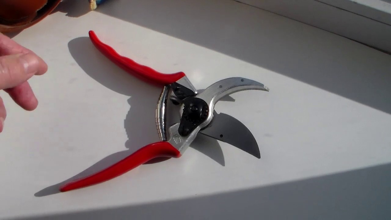 Купил секатор Felco 2