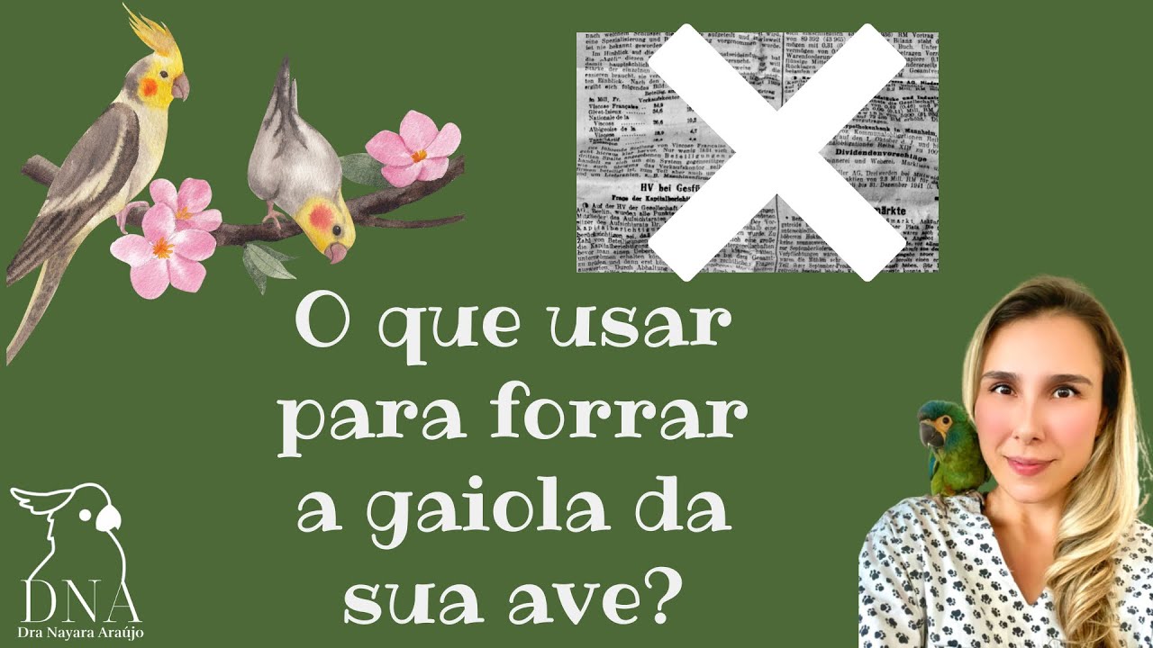 O que usar para forrar a gaiola da sua ave? | Pode usar jornal na gaiola?