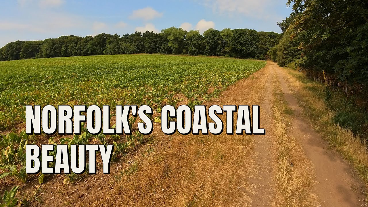 Wiveton to Blakeney Walk | Norfolk Coast Path & Salt Marsh in 4K