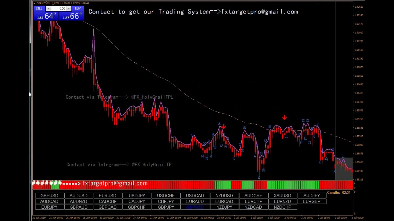 Forex Holy Grail System 2020