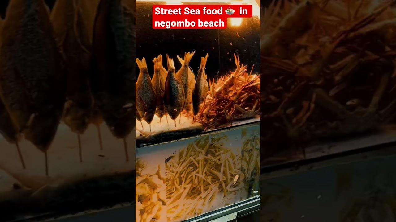 Street seafood  🦞 in Negombo Beach
